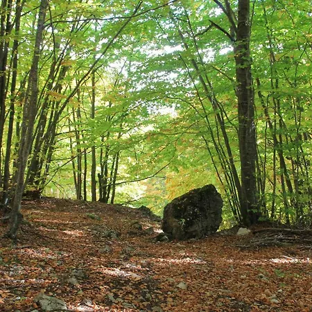 Ago's فندق مبيت وإفطار 3*